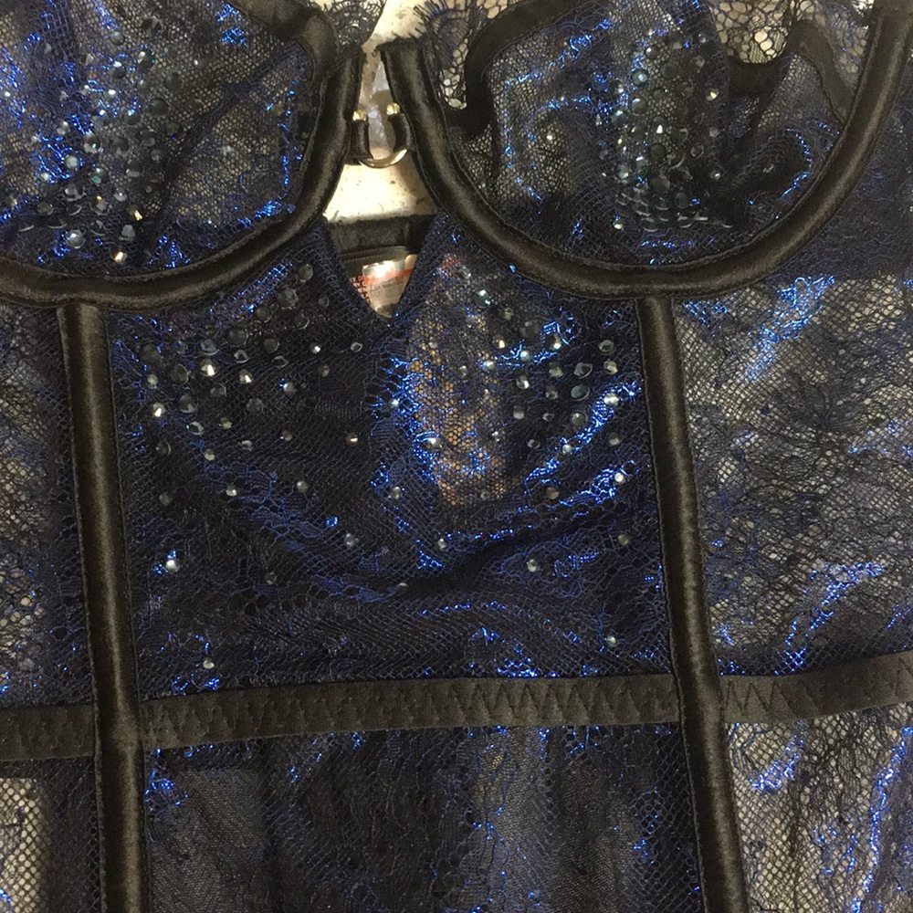 Victoria’s Secret Fashion Show Metallic Corset - Picture 4 of 8